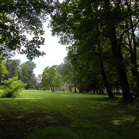 Chateau Du Riau Panzió Villeneuve-sur-Allier